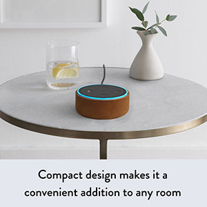 echo dot design